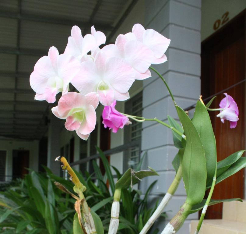 มาย แพเรนต์ เกสต์เฮาส์ กำปอต ภายนอก รูปภาพ